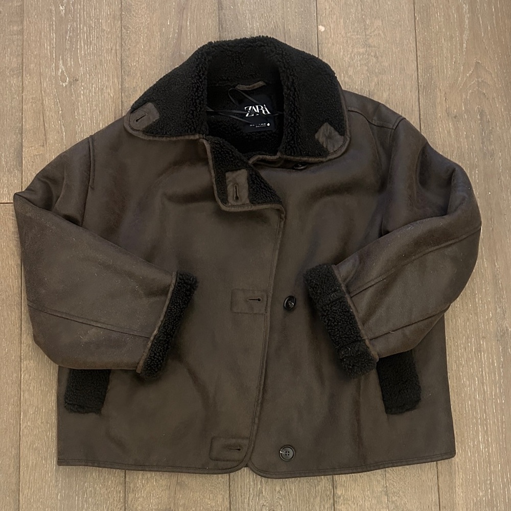 Zara Shearling and Leather Coat